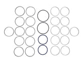 77520 Seal Kit, Swivel | Genie